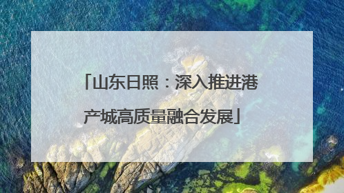山东日照：深入推进港产城高质量融合发展