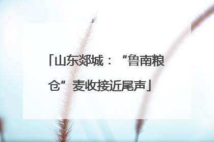山东郯城：“鲁南粮仓”麦收接近尾声