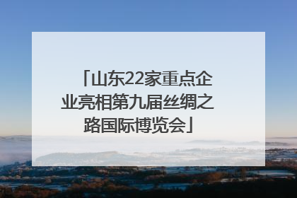 山东22家重点企业亮相第九届丝绸之路国际博览会