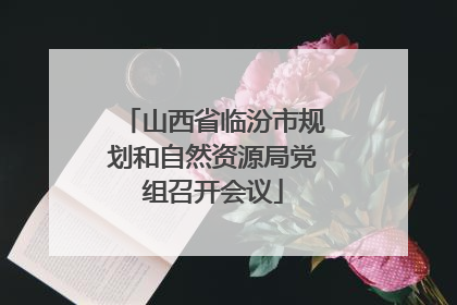 山西省临汾市规划和自然资源局党组召开会议