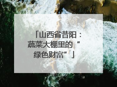 山西省昔阳：蔬菜大棚里的“绿色财富”