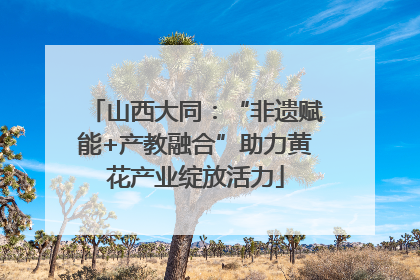 山西大同：“非遗赋能+产教融合”助力黄花产业绽放活力