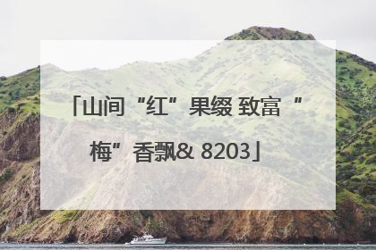 山间“红”果缀 致富“梅”香飘& 8203