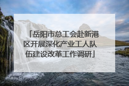 岳阳市总工会赴新港区开展深化产业工人队伍建设改革工作调研