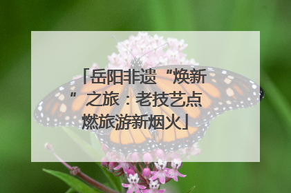 岳阳非遗“焕新”之旅：老技艺点燃旅游新烟火