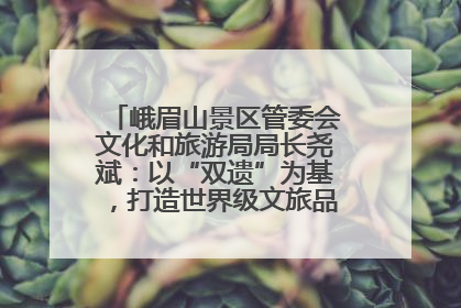 峨眉山景区管委会文化和旅游局局长尧斌：以“双遗”为基，打造世界级文旅品牌与国际典范