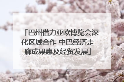 巴州借力亚欧博览会深化区域合作 中巴经济走廊成果惠及经贸发展