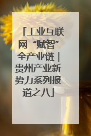 工业互联网“赋智”全产业链｜贵州产业新势力系列报道之八