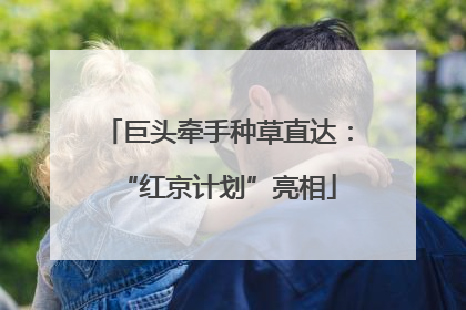 巨头牵手种草直达：“红京计划”亮相