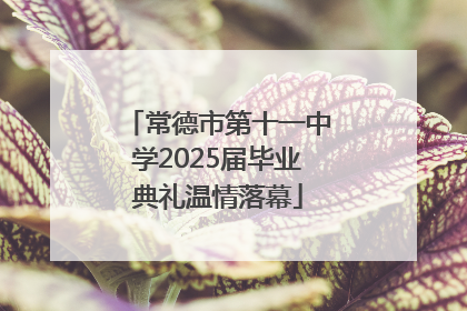 常德市第十一中学2025届毕业典礼温情落幕
