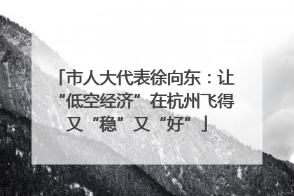 市人大代表徐向东：让“低空经济”在杭州飞得又“稳”又“好”