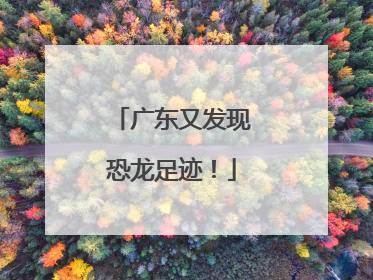 广东又发现恐龙足迹！