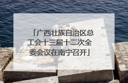 广西壮族自治区总工会十三届十二次全委会议在南宁召开