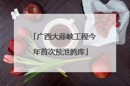 广西大藤峡工程今年首次预泄腾库