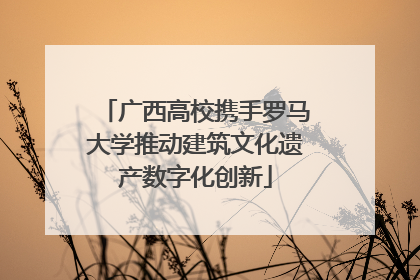 广西高校携手罗马大学推动建筑文化遗产数字化创新