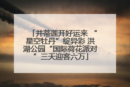 并蒂莲开好运来 “星空牡丹”绽异彩 洪湖公园“国际荷花派对”三天迎客六万