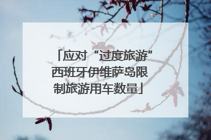 应对“过度旅游” 西班牙伊维萨岛限制旅游用车数量
