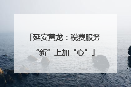 延安黄龙：税费服务“新”上加“心”