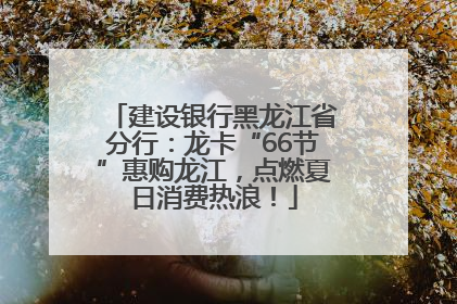 建设银行黑龙江省分行：龙卡“66节”惠购龙江，点燃夏日消费热浪！