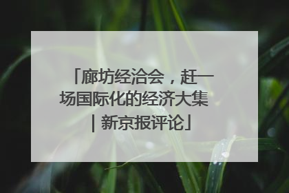 廊坊经洽会，赶一场国际化的经济大集｜新京报评论