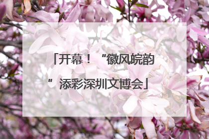 开幕！“徽风皖韵”添彩深圳文博会
