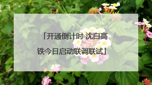 开通倒计时 沈白高铁今日启动联调联试