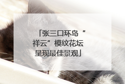 张三口环岛“祥云”模纹花坛呈现最佳景观