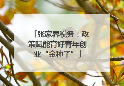 张家界税务：政策赋能育好青年创业“金种子”