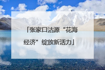 张家口沽源“花海经济”绽放新活力