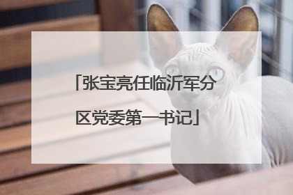 张宝亮任临沂军分区党委第一书记