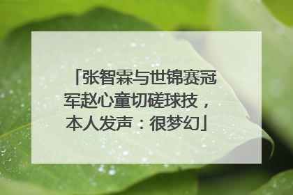 张智霖与世锦赛冠军赵心童切磋球技，本人发声：很梦幻