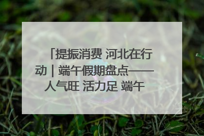 提振消费 河北在行动｜端午假期盘点——人气旺 活力足 端午经济“热浪”迭起
