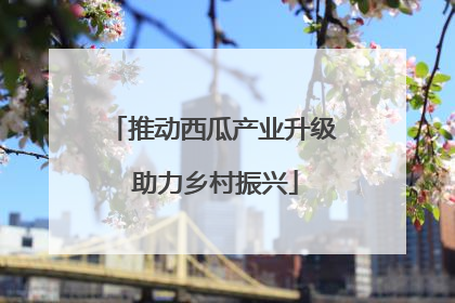 推动西瓜产业升级 助力乡村振兴