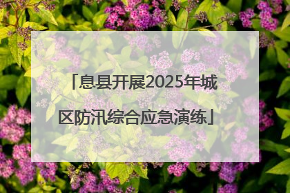 息县开展2025年城区防汛综合应急演练