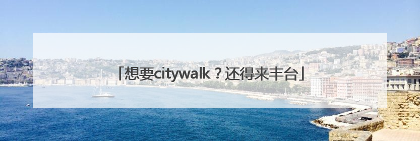 想要citywalk？还得来丰台