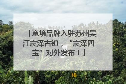 意境品牌入驻苏州吴江震泽古镇，“震泽四宝”对外发布！