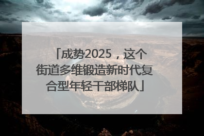 成势2025，这个街道多维锻造新时代复合型年轻干部梯队