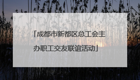 成都市新都区总工会主办职工交友联谊活动