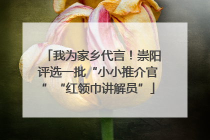 我为家乡代言！崇阳评选一批“小小推介官”“红领巾讲解员”