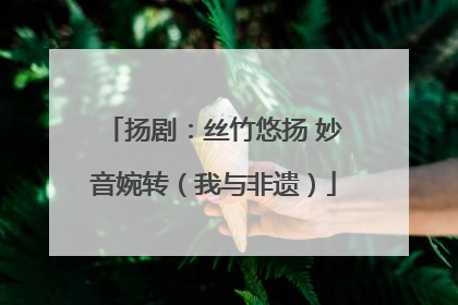扬剧：丝竹悠扬 妙音婉转（我与非遗）