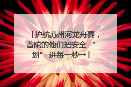 护航苏州河龙舟赛，普陀的他们把安全 “划” 进每一秒→