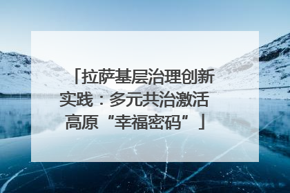 拉萨基层治理创新实践：多元共治激活高原“幸福密码”