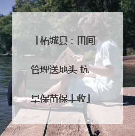 柘城县：田间管理送地头 抗旱保苗保丰收