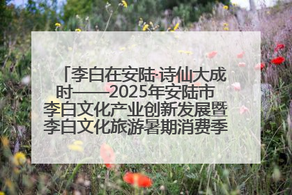 李白在安陆·诗仙大成时——2025年安陆市李白文化产业创新发展暨李白文化旅游暑期消费季活动在武汉启幕