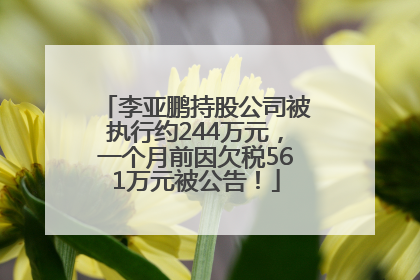 李亚鹏持股公司被执行约244万元，一个月前因欠税561万元被公告！