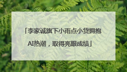 李家诚旗下小雨点小贷拥抱AI热潮，取得亮眼成绩