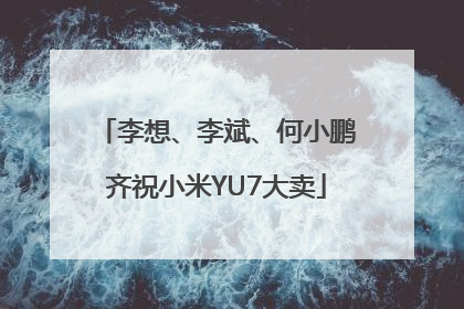 李想、李斌、何小鹏齐祝小米YU7大卖