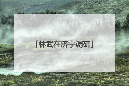 林武在济宁调研