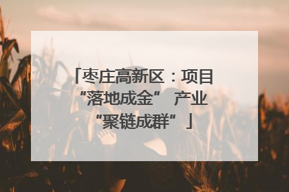 枣庄高新区：项目“落地成金” 产业“聚链成群”