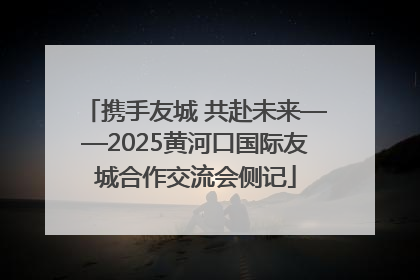 携手友城 共赴未来——2025黄河口国际友城合作交流会侧记